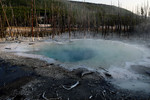 photo thumbnail #2