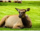 photo thumbnail #10