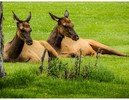 photo thumbnail #15