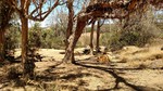 photo thumbnail #5