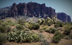 photo thumbnail #1