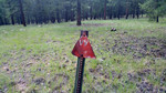 photo thumbnail #11