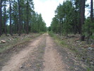 photo thumbnail #4