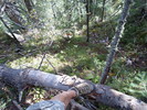 photo thumbnail #11