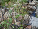 photo thumbnail #15
