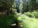 photo thumbnail #5