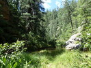 photo thumbnail #14