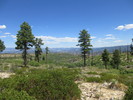 photo thumbnail #14