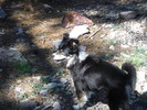 photo thumbnail #6