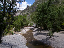 photo thumbnail #11