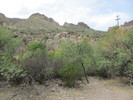 photo thumbnail #3