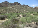 photo thumbnail #9