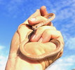 photo thumbnail #1