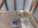 photo thumbnail #2