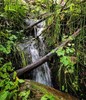 photo thumbnail #9