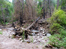 photo thumbnail #10