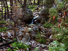 photo thumbnail #4