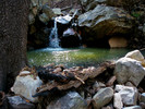 photo thumbnail #5
