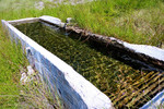 photo thumbnail #8