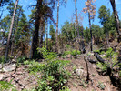photo thumbnail #4