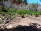 photo thumbnail #5
