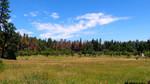 photo thumbnail #8