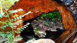 photo thumbnail #9