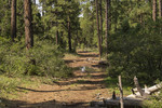 photo thumbnail #13