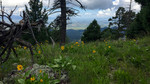 photo thumbnail #6