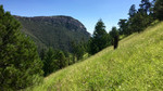 photo thumbnail #5