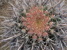 photo thumbnail #9