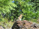 photo thumbnail #1