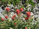 photo thumbnail #6