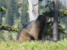 photo thumbnail #9