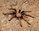 photo thumbnail #1