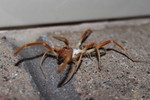 photo thumbnail #5