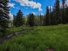 photo thumbnail #12