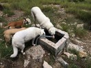 photo thumbnail #14