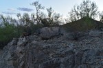 photo thumbnail #2