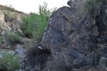 photo thumbnail #11