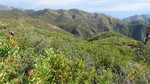 photo thumbnail #10