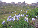 photo thumbnail #9