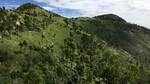 photo thumbnail #9