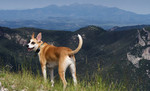 photo thumbnail #6