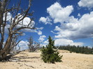 photo thumbnail #6