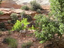 photo thumbnail #7