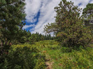 photo thumbnail #6