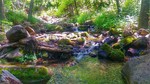 photo thumbnail #5