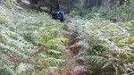 photo thumbnail #10