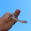 photo thumbnail #2